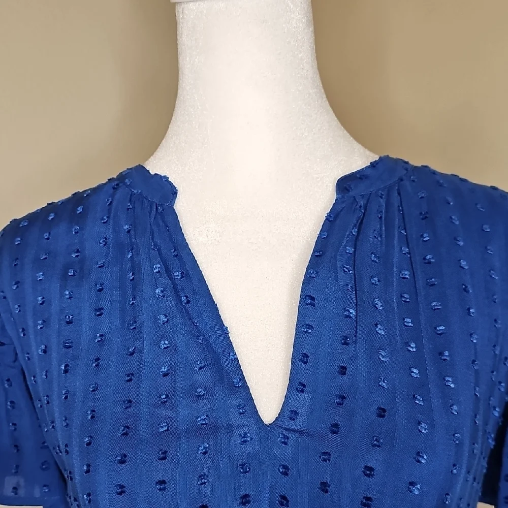 Ann Taylor Blue V-Neck Flutter Sleeve Dress Sz XL - Picture 2 of 9